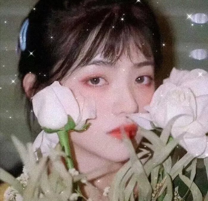 傲骨贤妻第七季